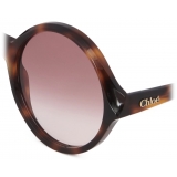 Chloé - Occhiali da Sole Salomé - Havana Bordeaux Sfumato - Chloé Eyewear