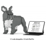 Jekca - French Bulldog 03-M05 - Big - Lego - Scultura - Costruzione - 4D - Animali di Mattoncini - Toys