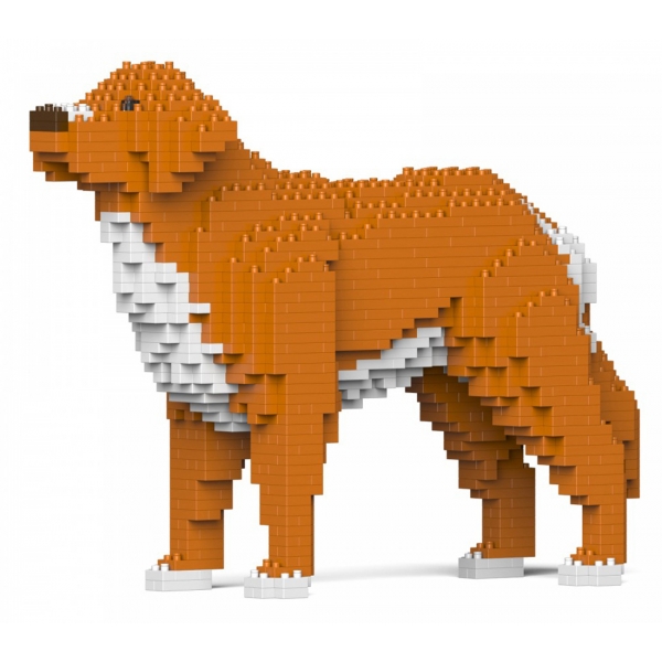 Jekca - Nova Scotia Duck Tolling Retriever 01-M01 - Big - Lego - Scultura - Costruzione - 4D - Animali di Mattoncini - Toys