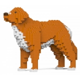 Jekca - Nova Scotia Duck Tolling Retriever 01-M01 - Big - Lego - Sculpture - Construction - 4D - Brick Animals - Toys