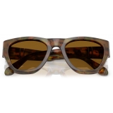 Persol - PO0054S - Caffe / Brown - Sunglasses - Persol Eyewear