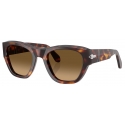 Persol - PO0054S - Havana / Brown Gradient - Sunglasses - Persol Eyewear