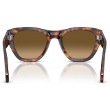 Persol - PO0054S - Havana / Brown Gradient - Sunglasses - Persol Eyewear