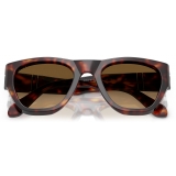 Persol - PO0054S - Havana / Brown Gradient - Sunglasses - Persol Eyewear