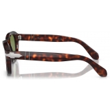 Persol - PO0060S - Havana / Green - Sunglasses - Persol Eyewear