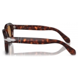 Persol - PO0060S - Havana / Marrone Giallo - Occhiali da Sole - Persol Eyewear