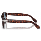 Persol - PO0060S - Havana / Blu - Occhiali da Sole - Persol Eyewear