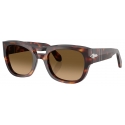 Persol - PO0064S - Havana / Brown Gradient Polarized - Sunglasses - Persol Eyewear