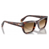 Persol - PO0091S - Havana / Clear Gradient Brown - Sunglasses - Persol Eyewear