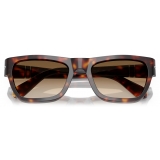 Persol - PO0091S - Havana / Clear Gradient Brown - Sunglasses - Persol Eyewear