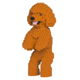 Jekca - Toy Poodle 04-M04 - Big - Lego - Sculpture - Construction - 4D - Brick Animals - Toys