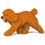 Jekca - Toy Poodle 02-M04 - Big - Lego - Scultura - Costruzione - 4D - Animali di Mattoncini - Toys