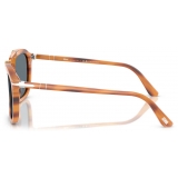 Persol - PO0203S - Senna Series - Striped Brown / Blue - Sunglasses - Persol Eyewear