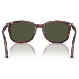 Persol - PO3355S - Havana / Green - Sunglasses - Persol Eyewear