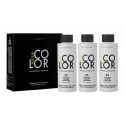 Everline - Hair Solution - Natural Color - Everline Color - Permanent Professional Coloring - 3 x 100 ml