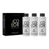 Everline - Hair Solution - Natural Color - Everline Color - Colorazione Professionale Permanente - 3 x 100 ml