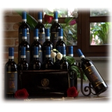 Miriam Tirinzoni - MMXX Nebbiolo d'Alba 15 Bottiglie con Borsa - Vino - Luxury Exclusive Collection