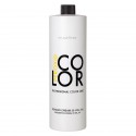 Everline - Hair Solution - Peroxid Cream 20 Vol. 6 % - Perossidi - Professional Color Line
