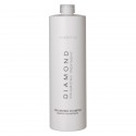 Everline - Hair Solution - Volumizing Shampoo - Diamond - Hair Volume Treatment - Professional - 1000 ml