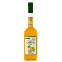 Zanin 1895 - Golmar - Liquore al Melone - Made in Italy - 25 % vol. - Spirit of Excellence