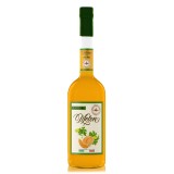 Zanin 1895 - Golmar - Melon Liquor - Made in Italy - 25 % vol. - Spirit of Excellence