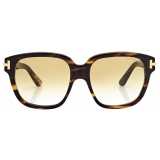 Tom Ford - Icon Square Sunglasses - Havana Yellow - Sunglasses - Tom Ford Eyewear