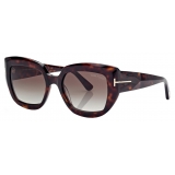 Tom Ford - Saltzman Sunglasses - Butterfly Sunglasses - Gradient Havana - Sunglasses - Tom Ford Eyewear
