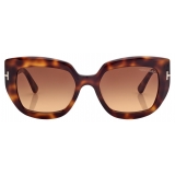Tom Ford - Saltzman Sunglasses - Butterfly Sunglasses - Tortoise - Sunglasses - Tom Ford Eyewear