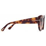 Tom Ford - Saltzman Sunglasses - Butterfly Sunglasses - Tortoise - Sunglasses - Tom Ford Eyewear