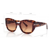 Tom Ford - Saltzman Sunglasses - Butterfly Sunglasses - Tortoise - Sunglasses - Tom Ford Eyewear