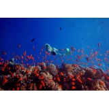 Kempinski Hotel Soma Bay - Junior Suite Side Sea View - 6 Days 5 Nights - Exclusive Luxury - Red Sea - Egypt