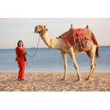 Kempinski Hotel Soma Bay - Laguna Club Room with Lounge - 6 Days 5 Nights - Exclusive Luxury - Red Sea - Egypt