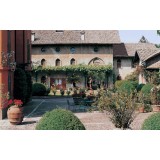 Le Dimore del Borgo - Discovering Borgo del Balsamico - 4 Days 3 Nights - Glicine Suite - 4 Persons - Vinegar Experience