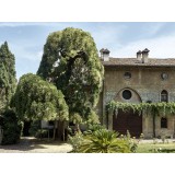 Le Dimore del Borgo - Discovering Borgo del Balsamico - 3 Days 2 Nights - Ortigia Suite - 2 Persons - Vinegar Experience