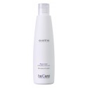 Everline - Hair Solution - Glossy Color - Anti Yellow Shampoo - BeCare - Professional Color Line
