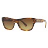 Versace - Sunglasses Versace Clear Medusa - Havana - Sunglasses - Versace Eyewear