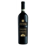 Bottega - Amarone della Valpolicella D.O.C.G. Bottega - Magnum - Il Vino degli Dei - Vini Rossi