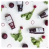 Dr. Farmer - Smoothie Juice 100 % in Purezza - Barbabietola - 100 % Biologico - 100 % Italiano - 100 % Vegan - Succhi Bio