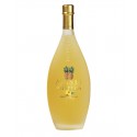 Bottega - Ananas - Pineapple Liqueur Bottega - Liqueurs and Spirits