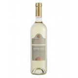 Bottega - Sauvignon I.G.T. Trevenezie Bottega - White Wines