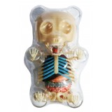 Fame Master - Small Gummi Bear - Classic - 4D Master - Mighty Jaxx - Jason Freeny - Body Anatomy - XX Ray - Art Toys