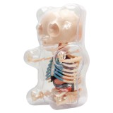 Fame Master - Small Gummi Bear - Classic - 4D Master - Mighty Jaxx - Jason Freeny - Body Anatomy - XX Ray - Art Toys
