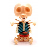 Fame Master - Small Gummi Bear - Orange - 4D Master - Mighty Jaxx - Jason Freeny - Body Anatomy - XX Ray - Art Toys
