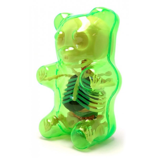 anatomy toys