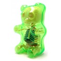 Fame Master - Piccolo Orsacchiotto Gummi - Verde - 4D Master - Mighty Jaxx - Jason Freeny - Body Anatomy - XX Ray - Art Toys