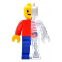 Fame Master - Brick Man - Classic - 4D Master - Mighty Jaxx - Jason Freeny - Body Anatomy - XX Ray - Art Toys