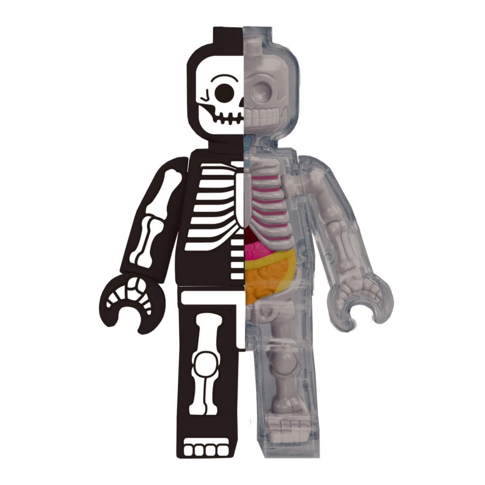 Fame Master - Small Brick Man - Skeleton - 4D Master - Mighty Jaxx - Jason  Freeny - Body Anatomy - XX Ray - Art Toys - Avvenice