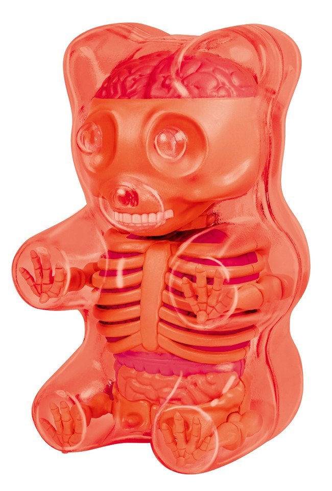 Fame Master - Small Balloon Dog - Orange - 4D Master - Mighty Jaxx - Jason  Freeny - Body Anatomy - XX Ray - Art Toys - Avvenice