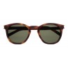 Yves Saint Laurent - Occhiali da Sole Classic SL 28 con Montatura Quadrata Arrotondata - Havana Chiaro - Saint Laurent Eyewear