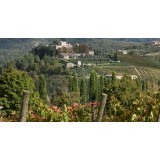 Castello di Meleto - Feeling The Silence of Wine and Relaxation - History - Art - 4 Days 3 Nights